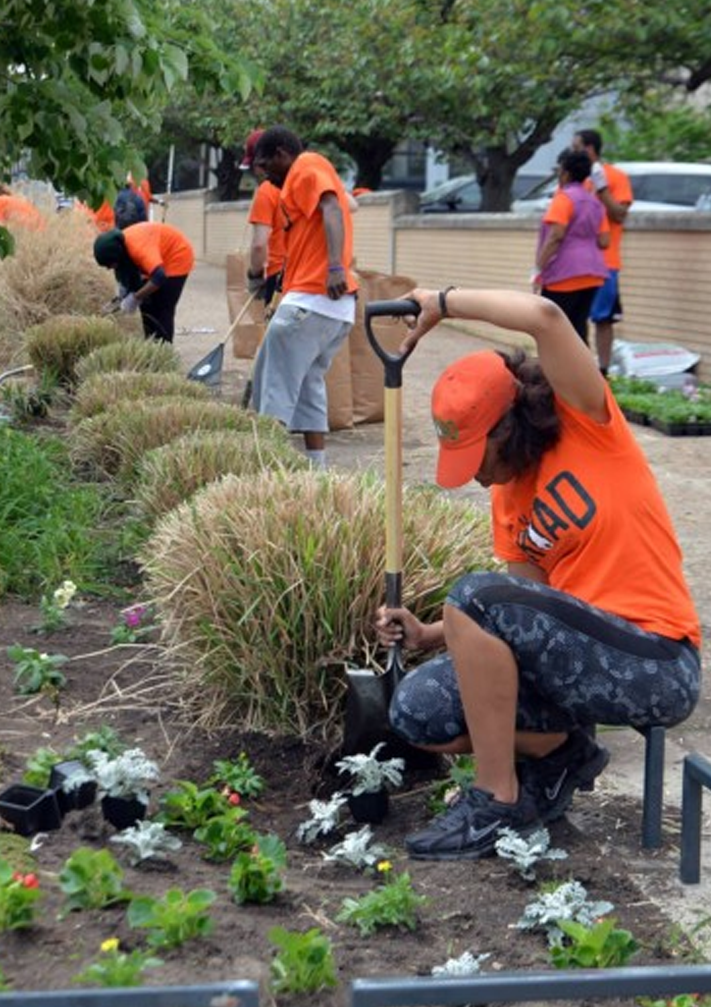 Volunteers in orange landscaping