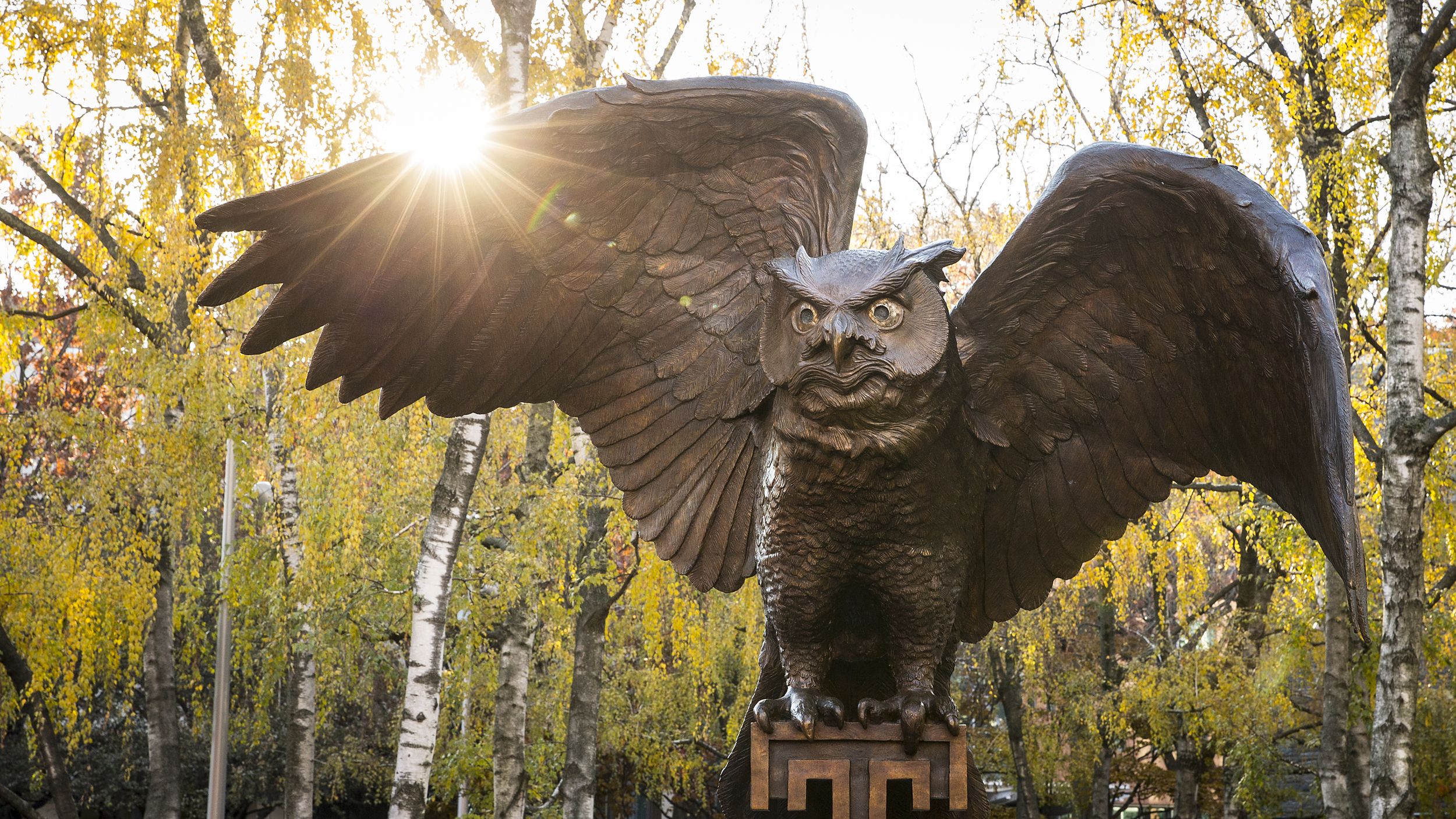 Stella's statue on main campus
