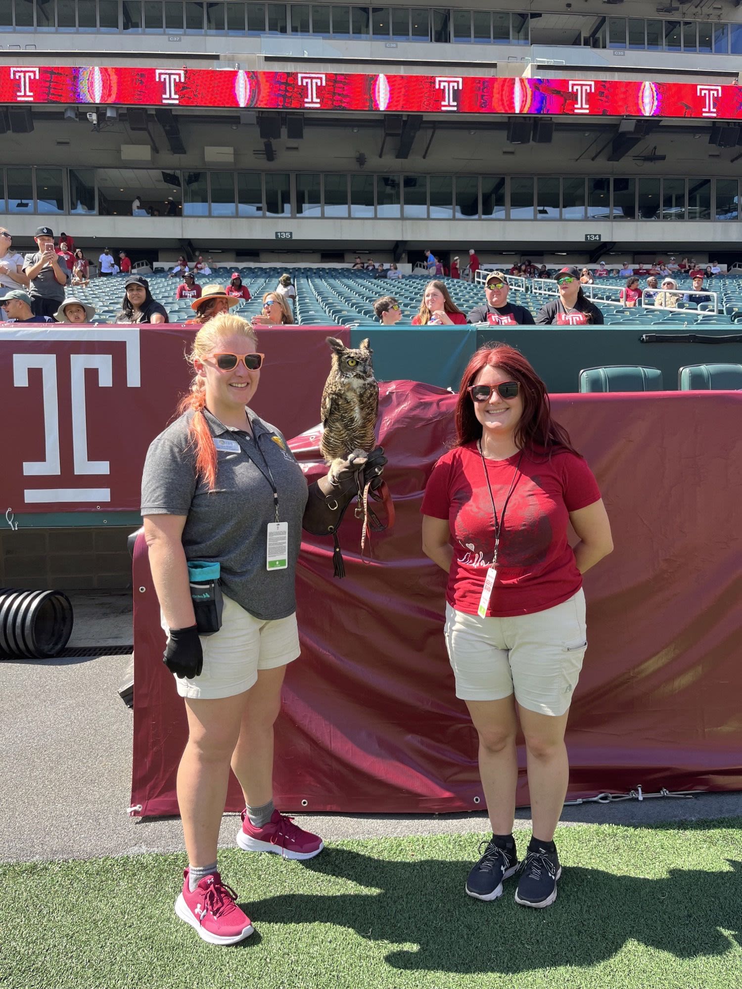 Stella on her Temple Perch at the game