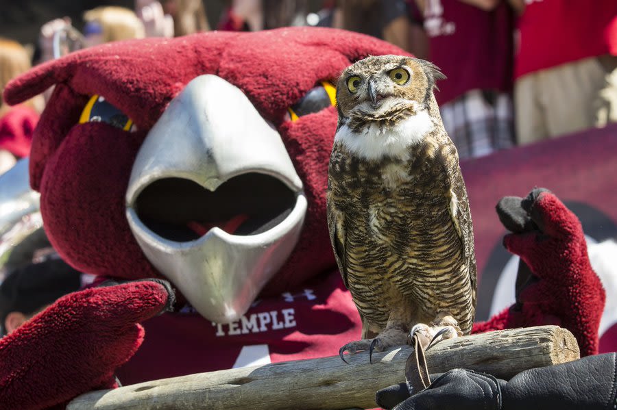 Stella poses with hooter, our human version of the owl mascot. 