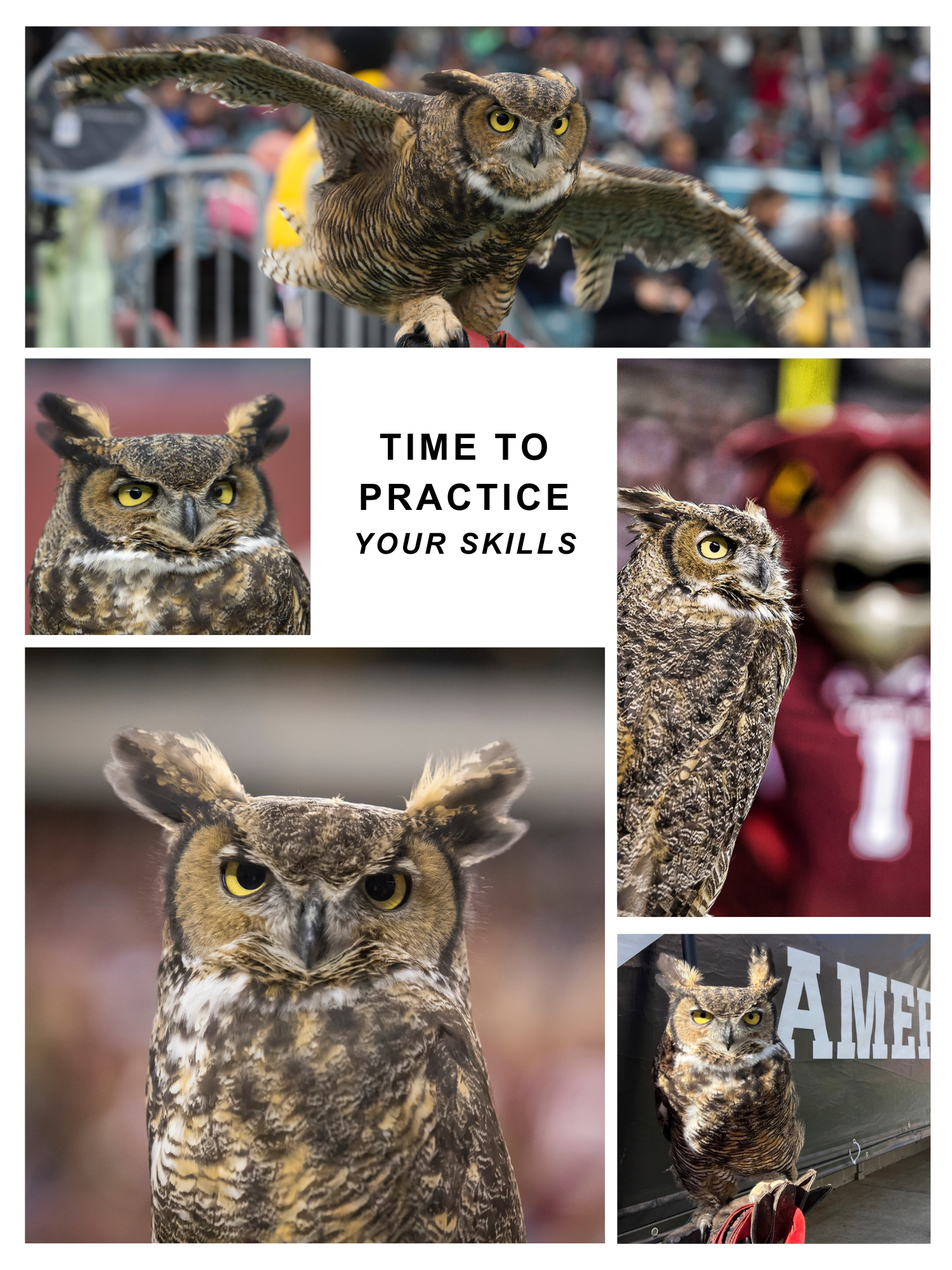 A range of emotions for Stella