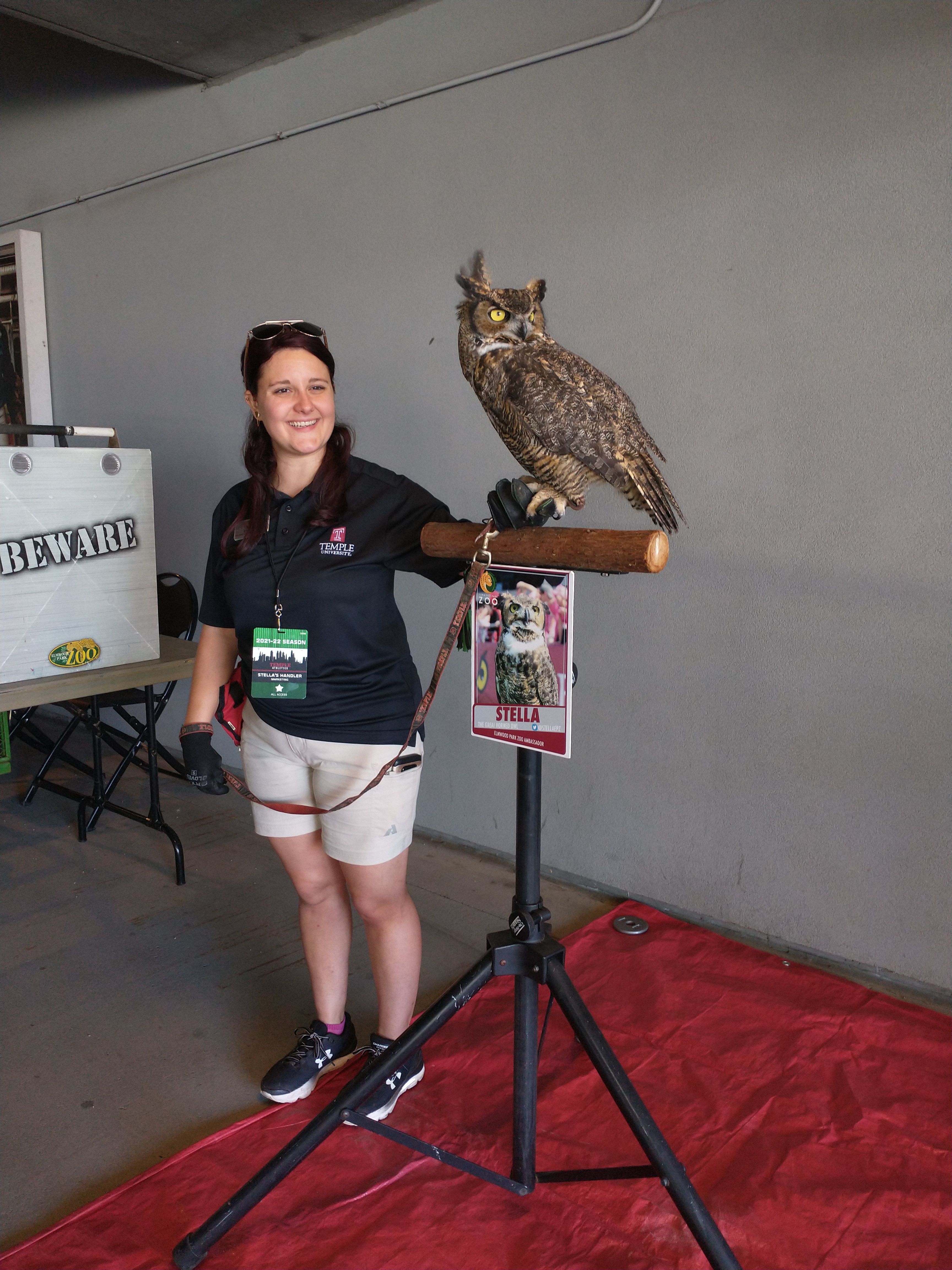 Stella on her Temple Perch