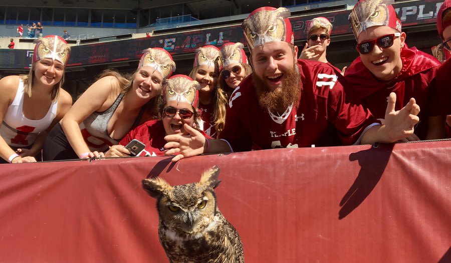 Stella surrounded by fans in Stella hats